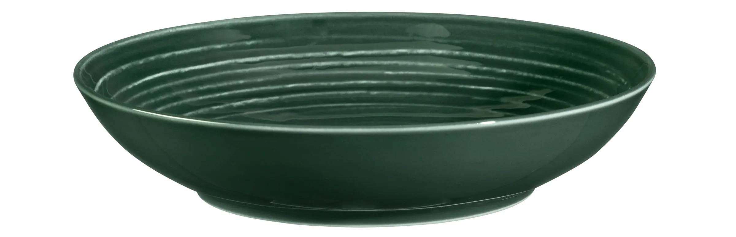 Suppenteller Terra moosgrün uni