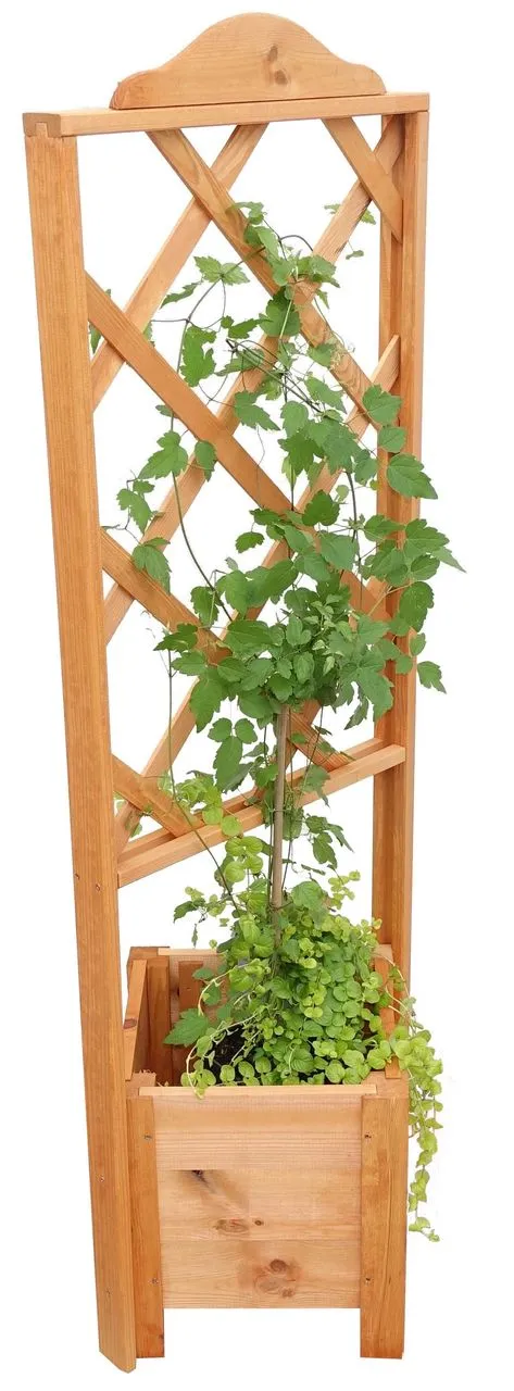 Promadino Eckelement Botanica 140 cm