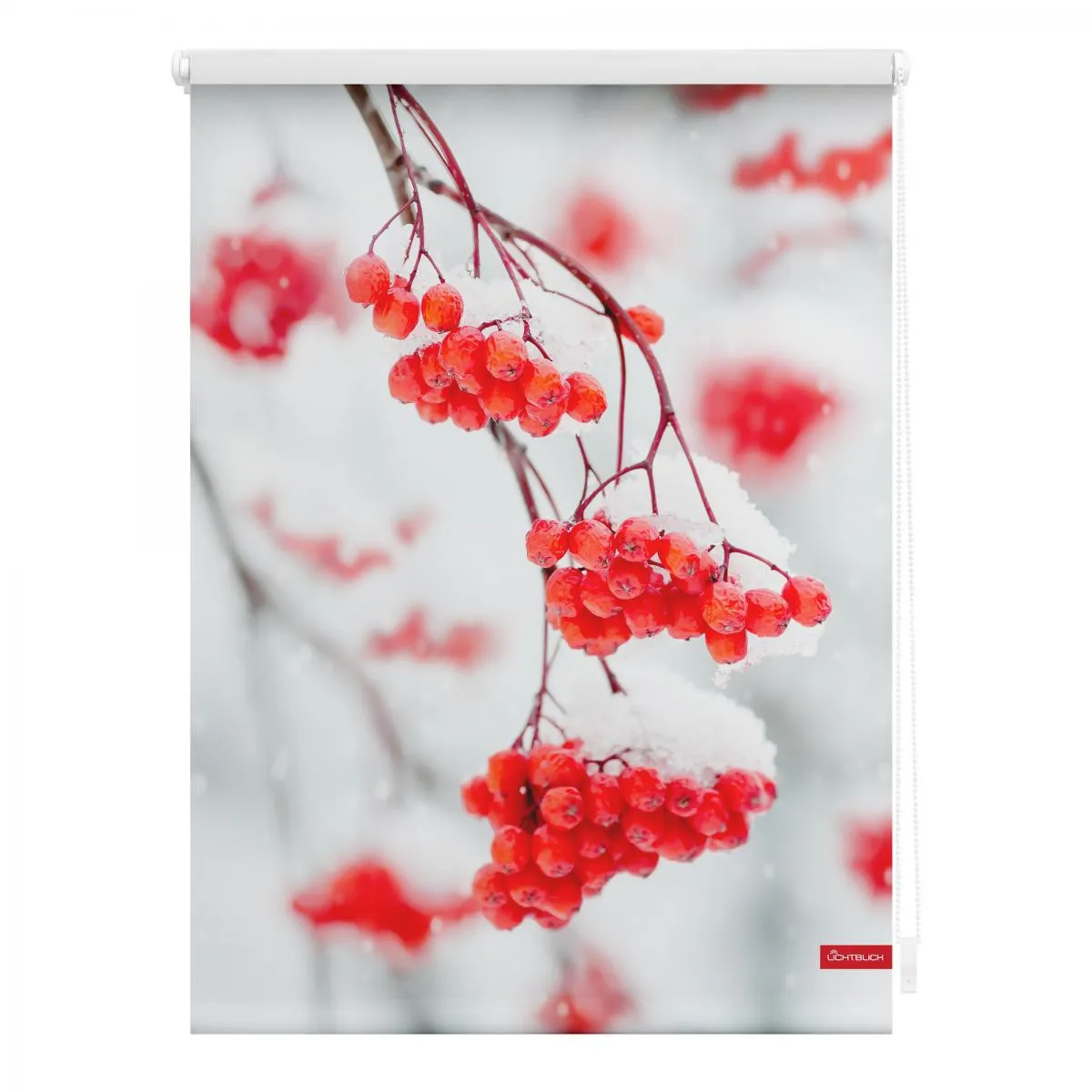 Rollo Klemmfix, ohne Bohren, blickdicht, Vogelbeeren - Rot Weiß, 45 cm x 150 cm (B x L)
