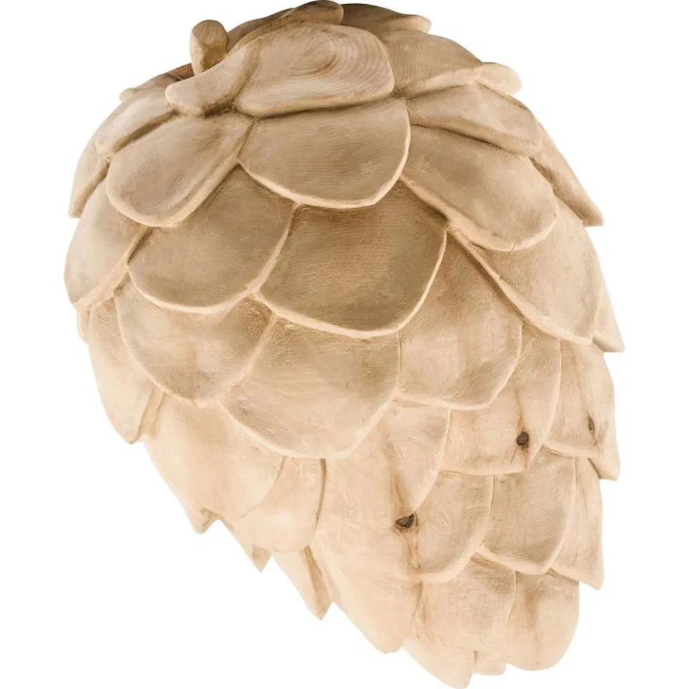 PINIEN -Zapfen NATUR ver. Größen