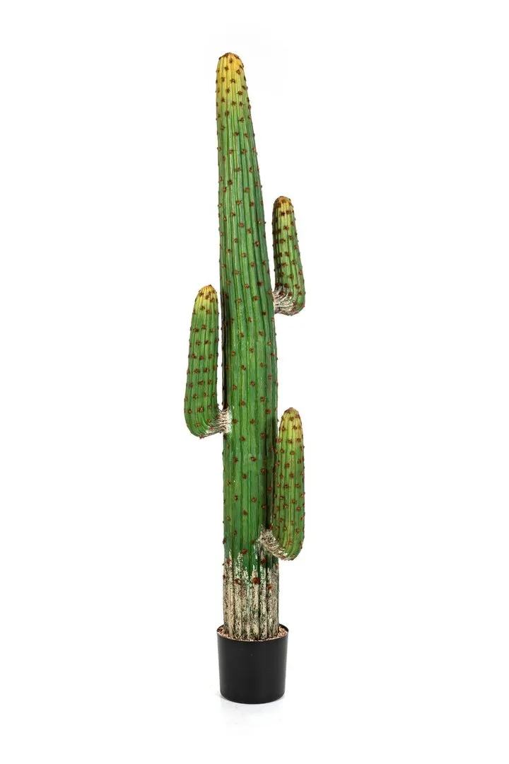 Flora World MEXICAN CACTUS 170 CM