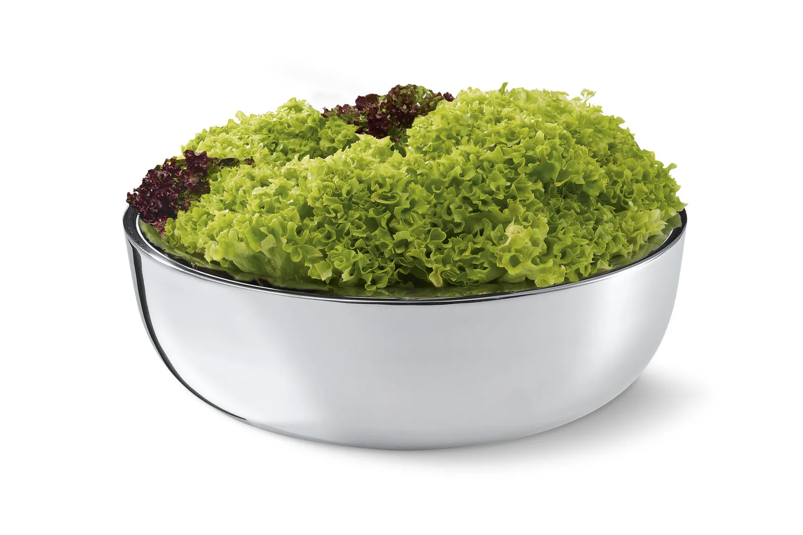 Philippi Salatschüssel GINOO