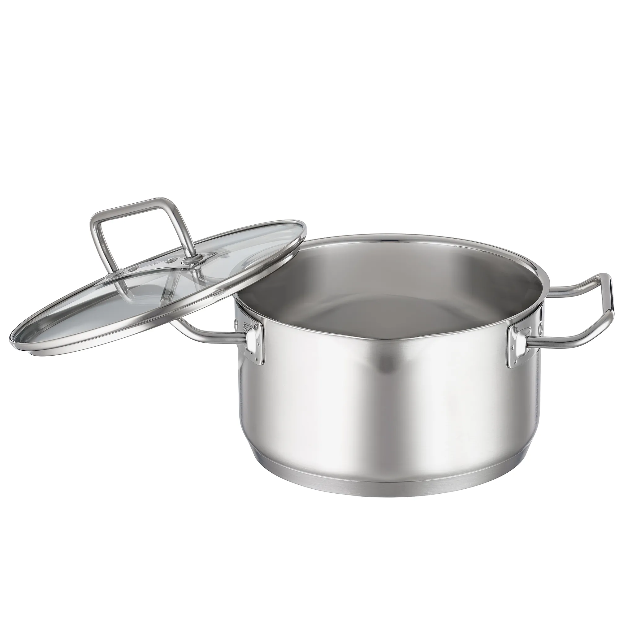 Kochtopf Expertiso 20 cm mit Glasdeckel für alle Herdarten, incl seitlicher Schnaupe