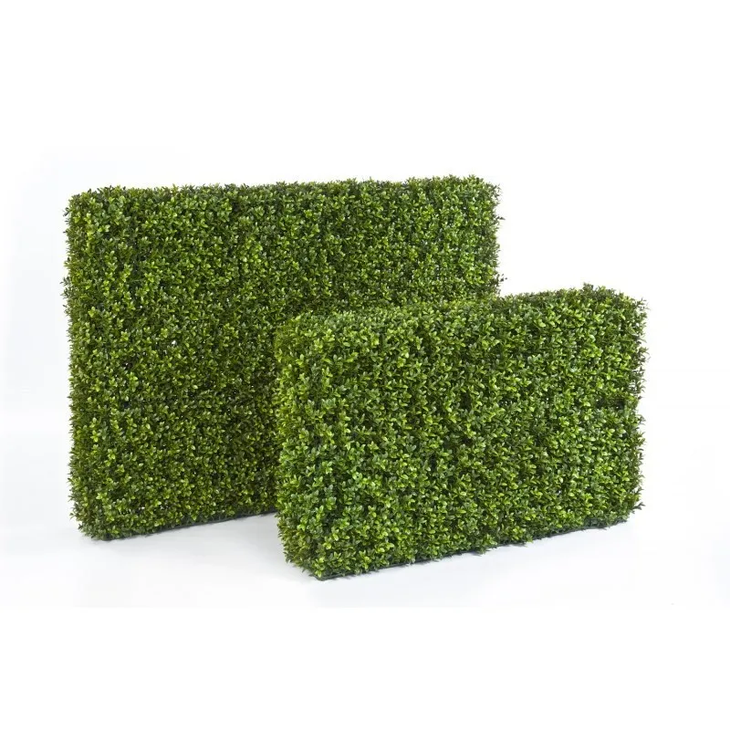 Flora World BOXWOOD HEDGE 55 X 95 CM