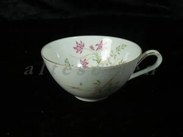 Teetasse - Hutschenreuther Favorit 8267 Wiesenblume