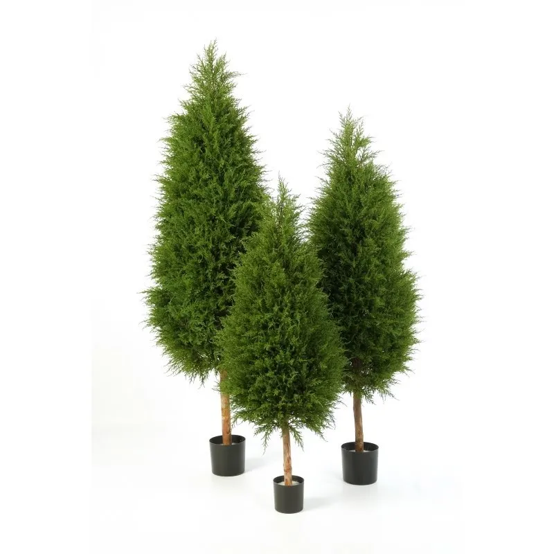 Flora World 6' CYPRES TREE