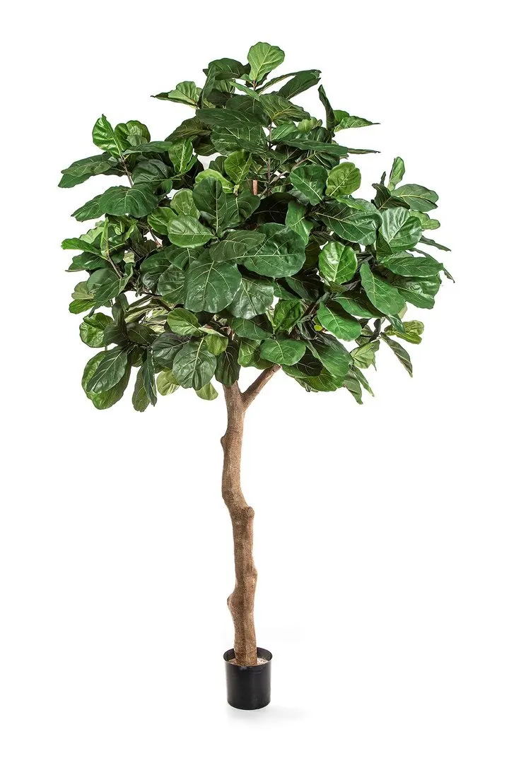 Flora World 12' FIDDLE LEAF GIANT TREE