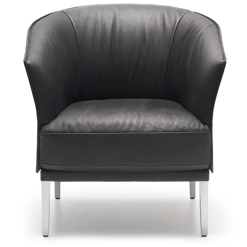 Club-Sessel DS-291 by de Sede