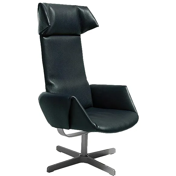 DS-343 Relaxsessel von De sede